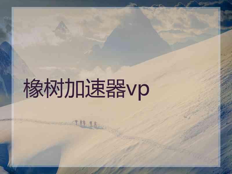 橡树加速器vp