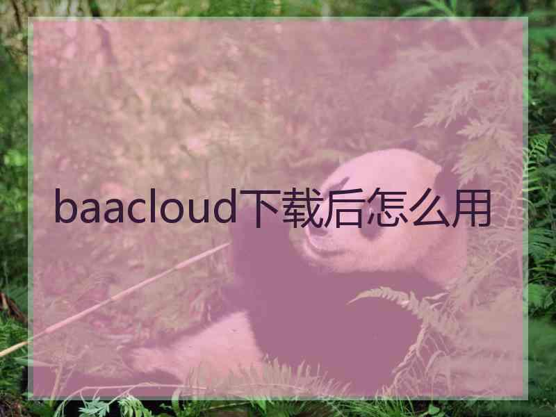 baacloud下载后怎么用