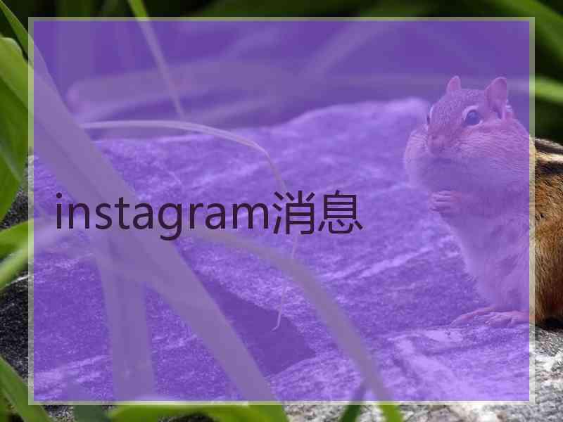 instagram消息