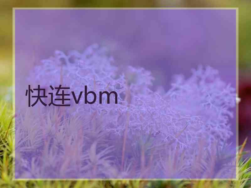 快连vbm