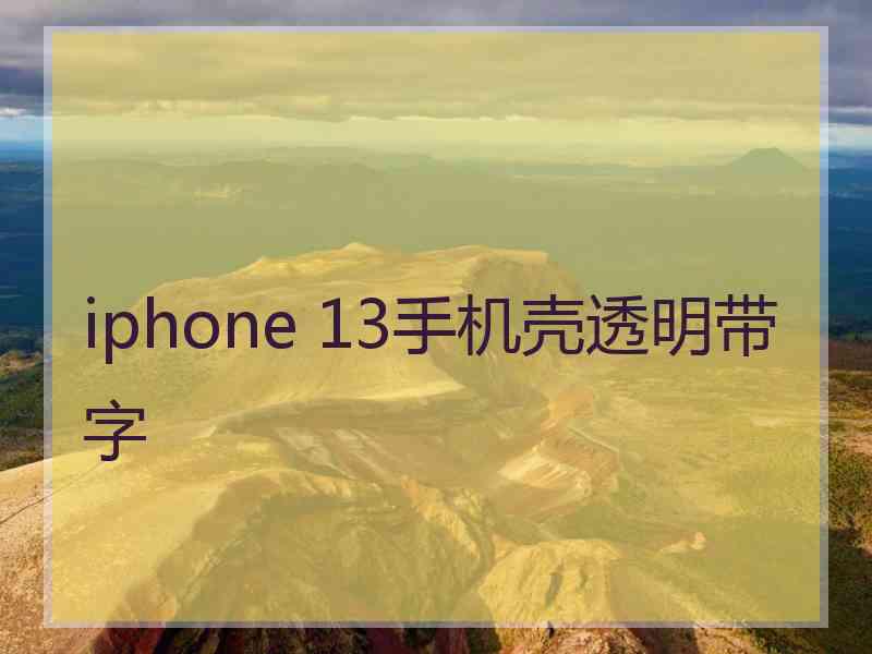 iphone 13手机壳透明带字