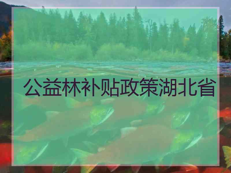 公益林补贴政策湖北省