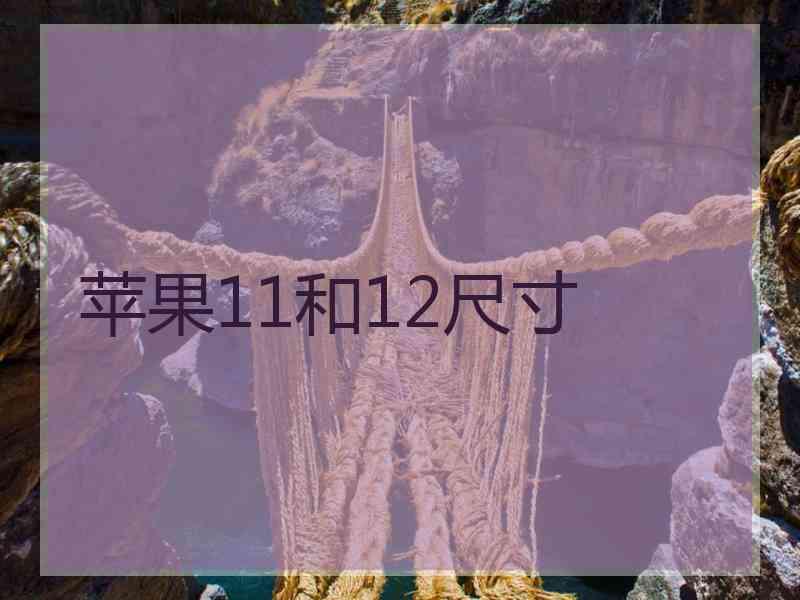 苹果11和12尺寸