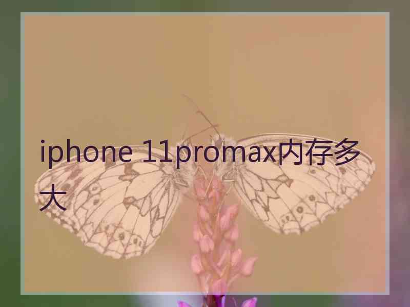 iphone 11promax内存多大