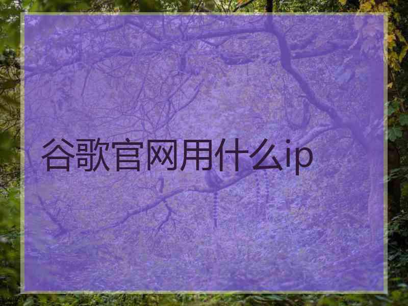 谷歌官网用什么ip