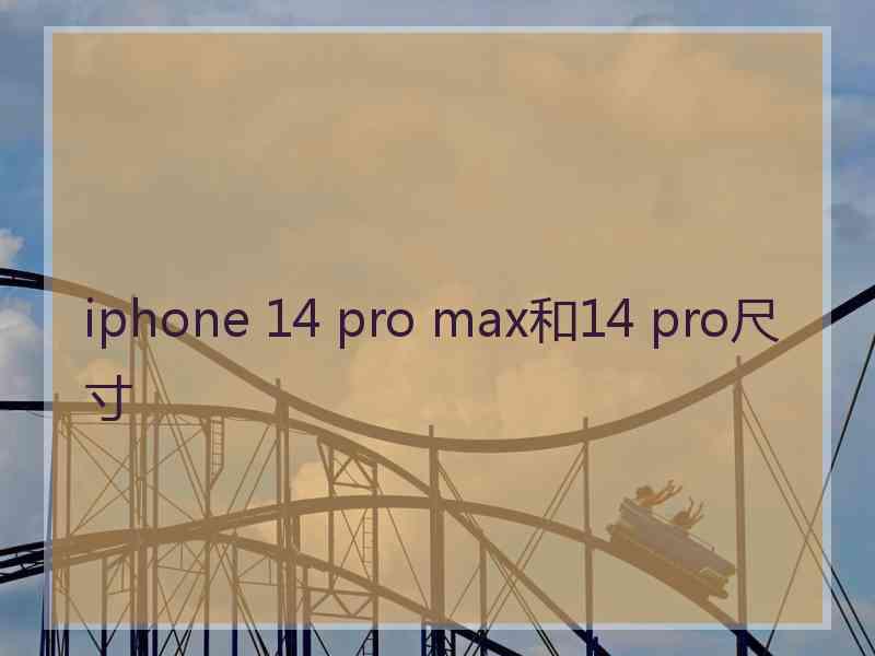 iphone 14 pro max和14 pro尺寸