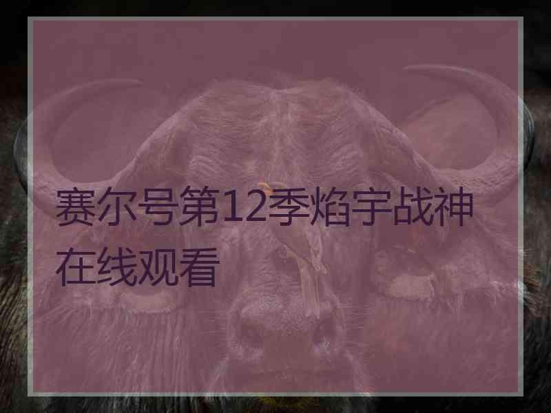 赛尔号第12季焰宇战神在线观看