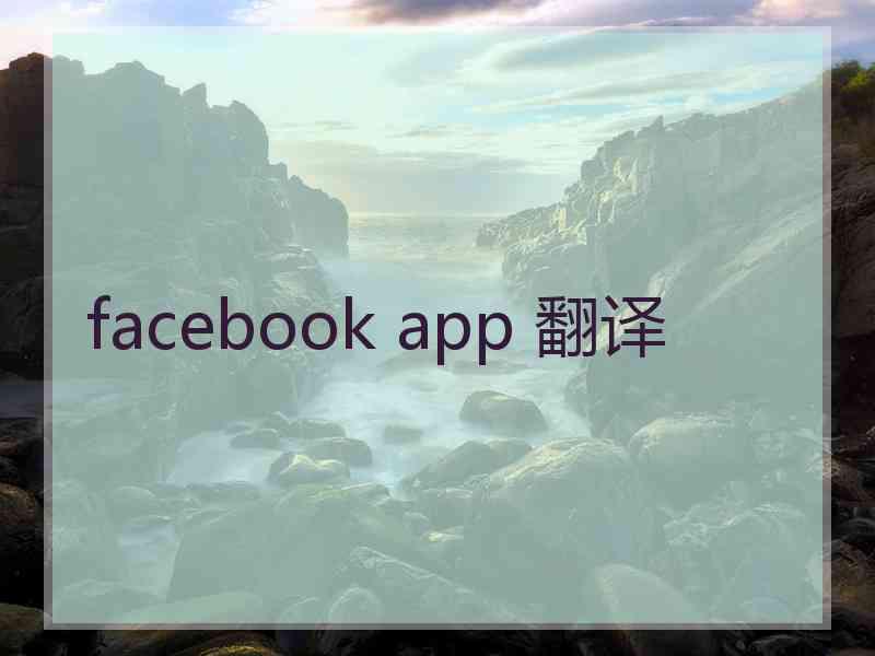 facebook app 翻译