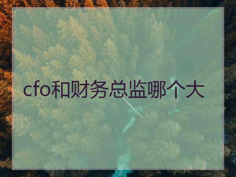 cfo和财务总监哪个大