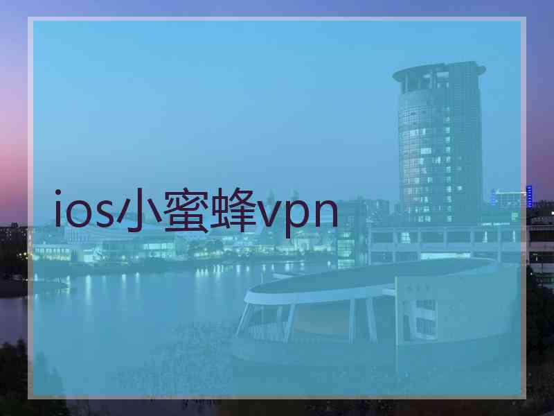 ios小蜜蜂vpn