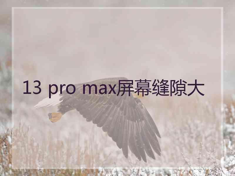 13 pro max屏幕缝隙大