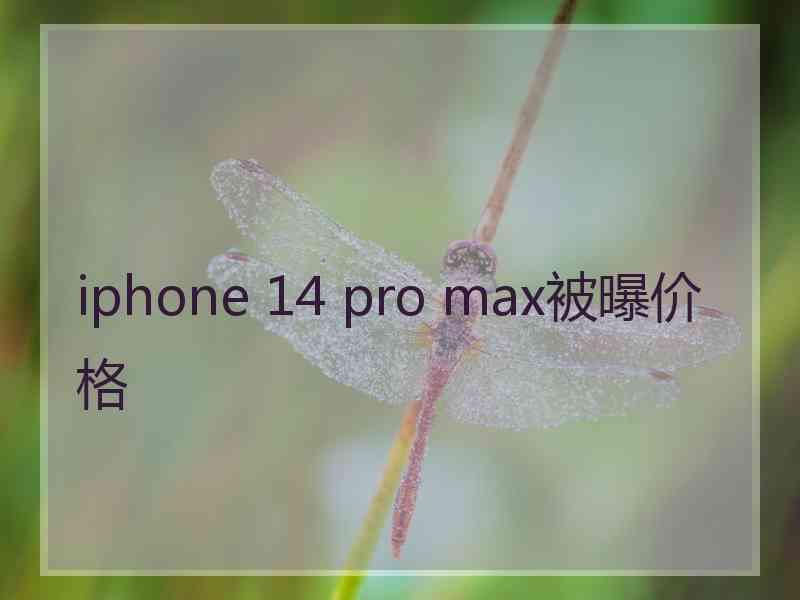 iphone 14 pro max被曝价格