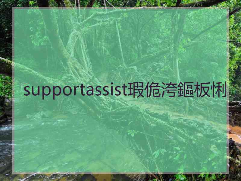 supportassist瑕佹洿鏂板悧