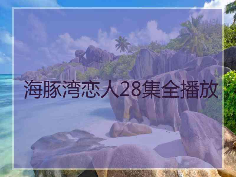 海豚湾恋人28集全播放