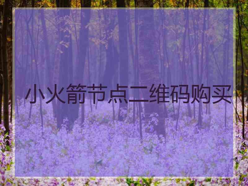 小火箭节点二维码购买