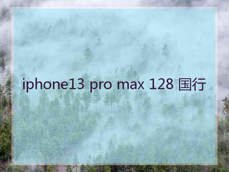 iphone13 pro max 128 国行