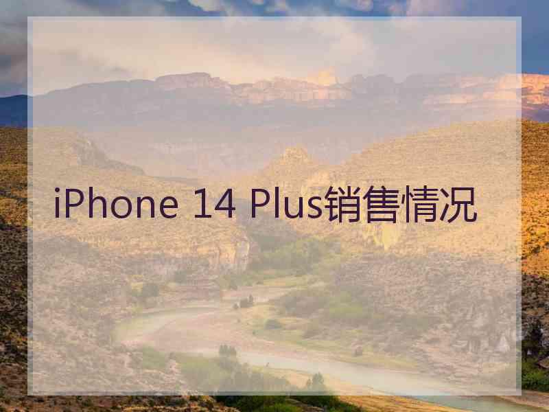 iPhone 14 Plus销售情况