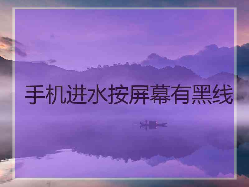 手机进水按屏幕有黑线