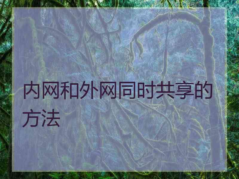 内网和外网同时共享的方法