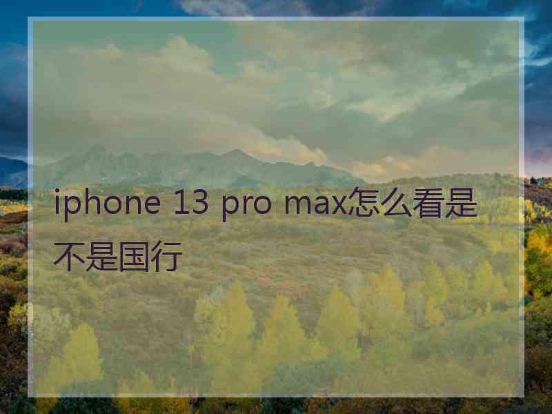 iphone 13 pro max怎么看是不是国行