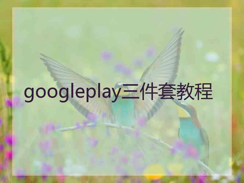 googleplay三件套教程