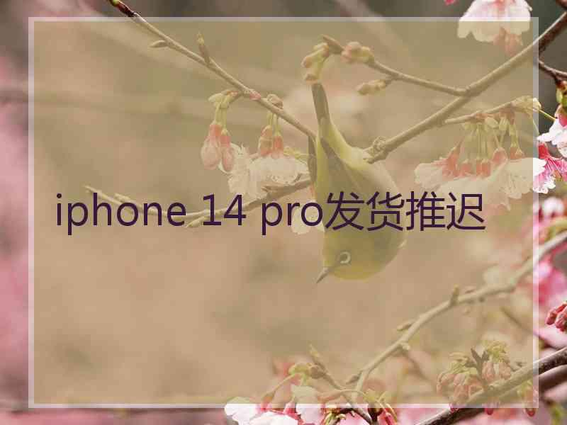 iphone 14 pro发货推迟