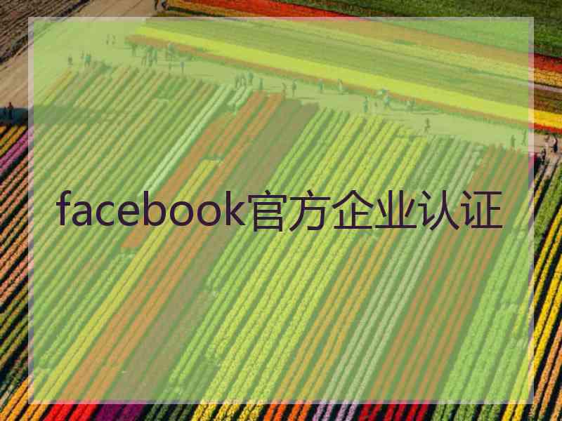 facebook官方企业认证