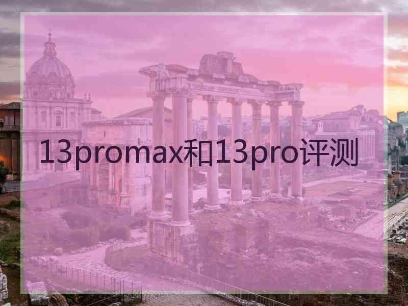 13promax和13pro评测