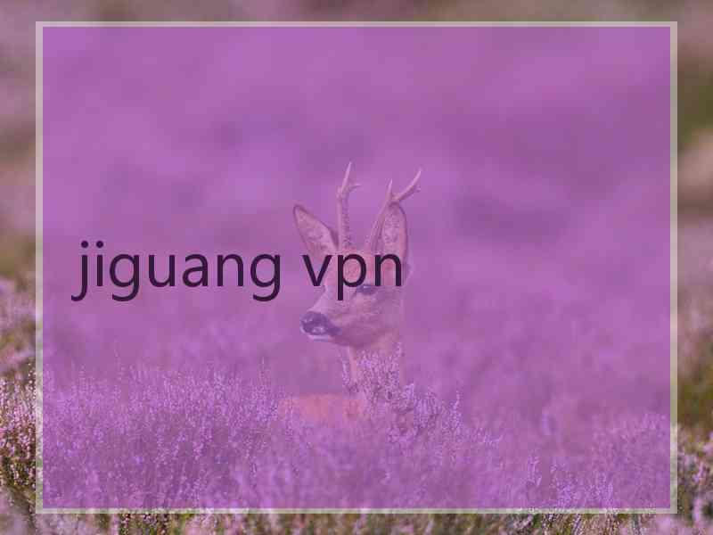 jiguang vpn