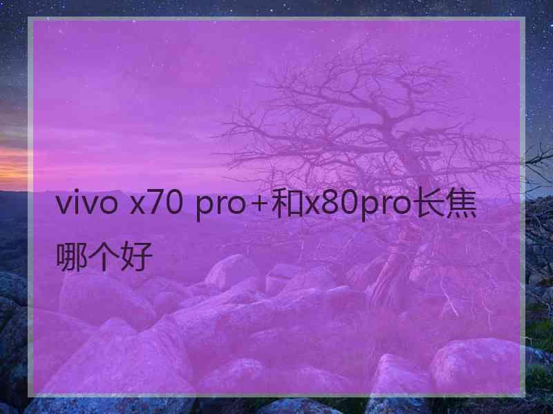 vivo x70 pro+和x80pro长焦哪个好