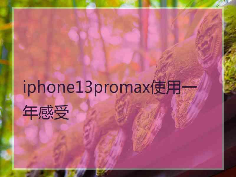 iphone13promax使用一年感受