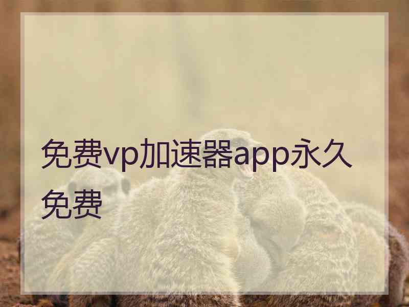 免费vp加速器app永久免费