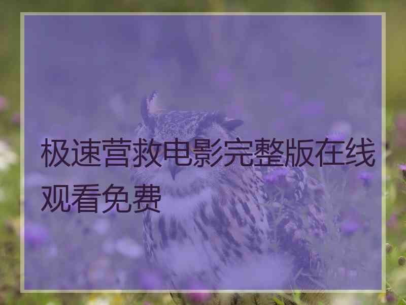 极速营救电影完整版在线观看免费