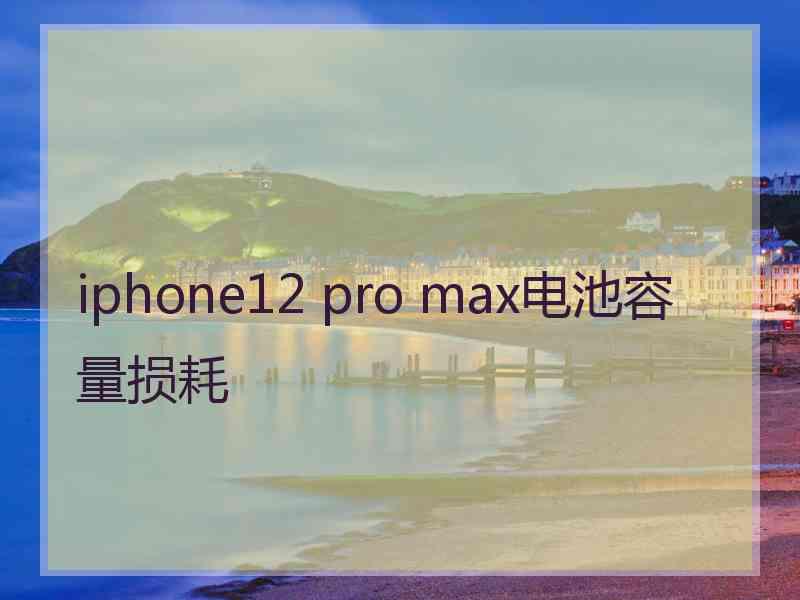 iphone12 pro max电池容量损耗