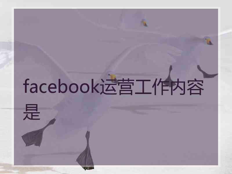 facebook运营工作内容是