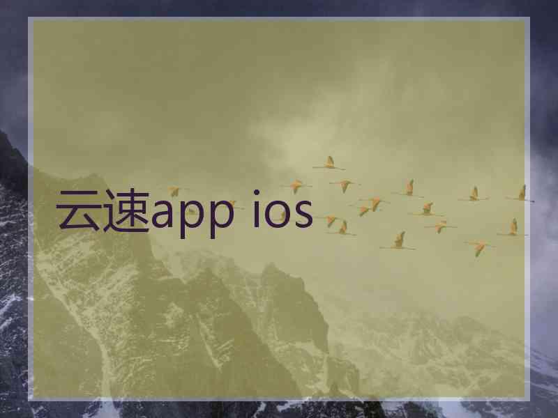 云速app ios