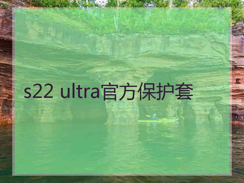 s22 ultra官方保护套