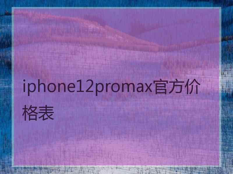 iphone12promax官方价格表