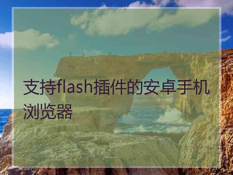 支持flash插件的安卓手机浏览器