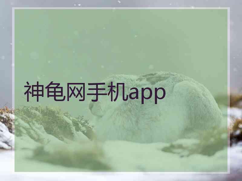 神龟网手机app