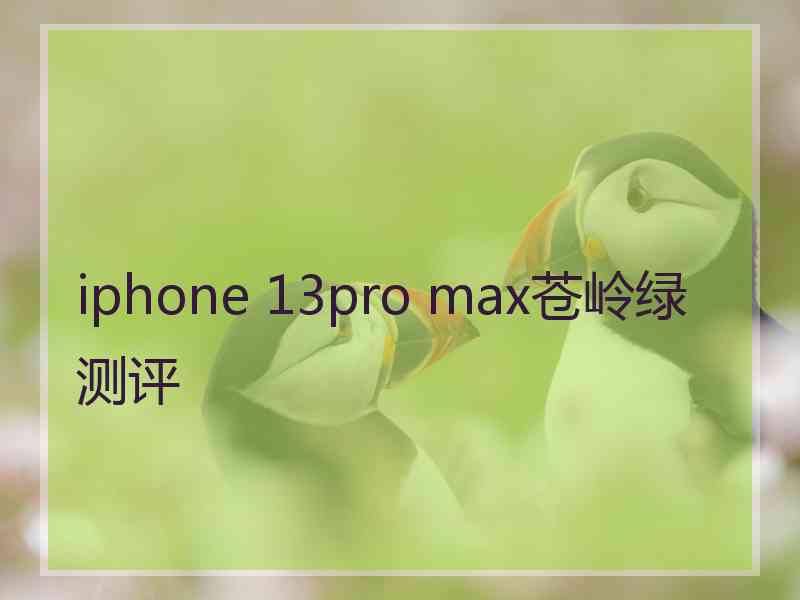 iphone 13pro max苍岭绿测评