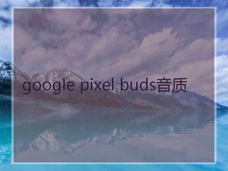 google pixel buds音质