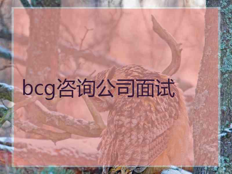 bcg咨询公司面试