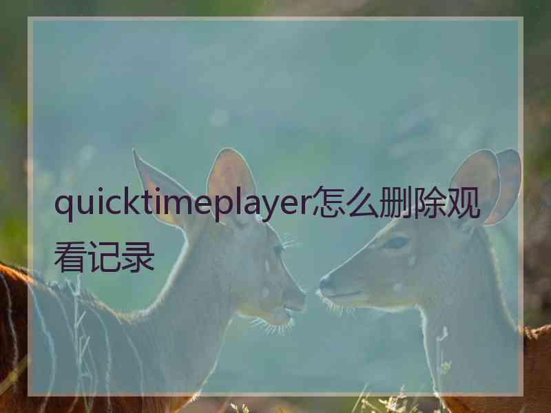 quicktimeplayer怎么删除观看记录