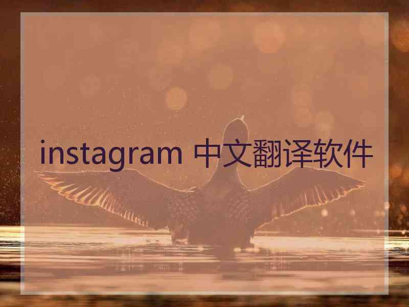 instagram 中文翻译软件