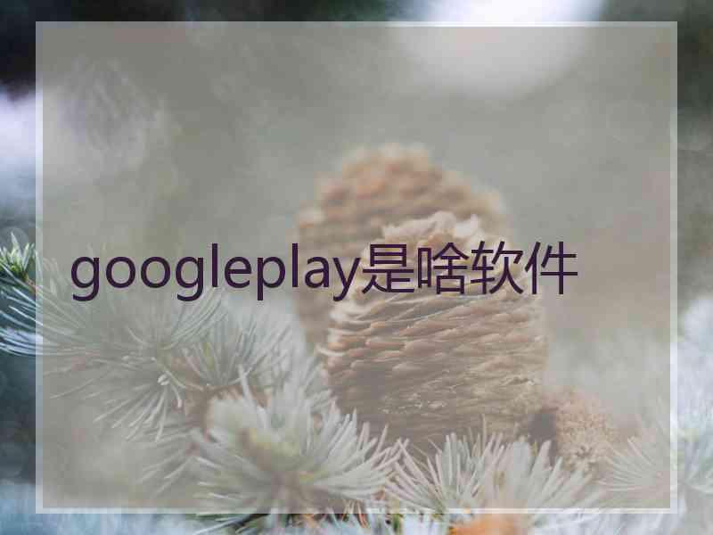 googleplay是啥软件