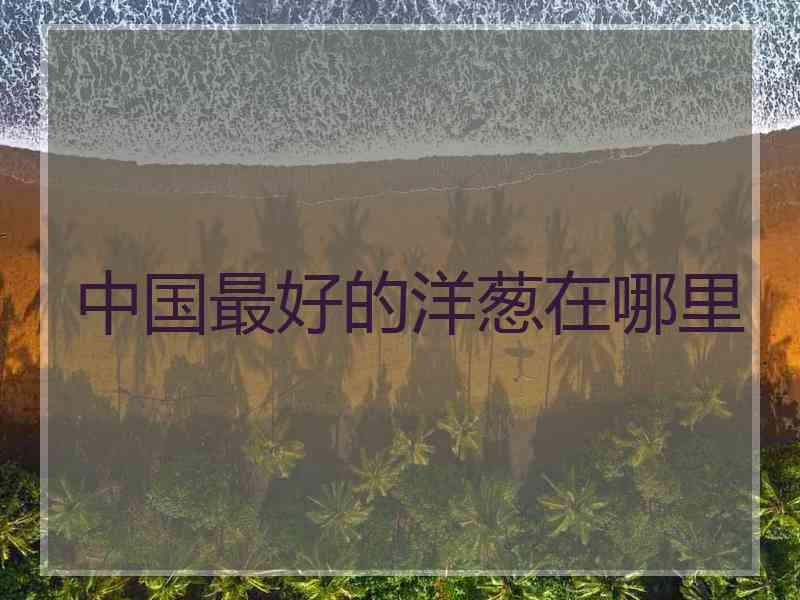 中国最好的洋葱在哪里