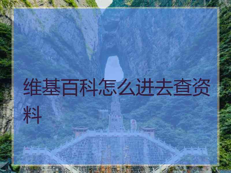 维基百科怎么进去查资料