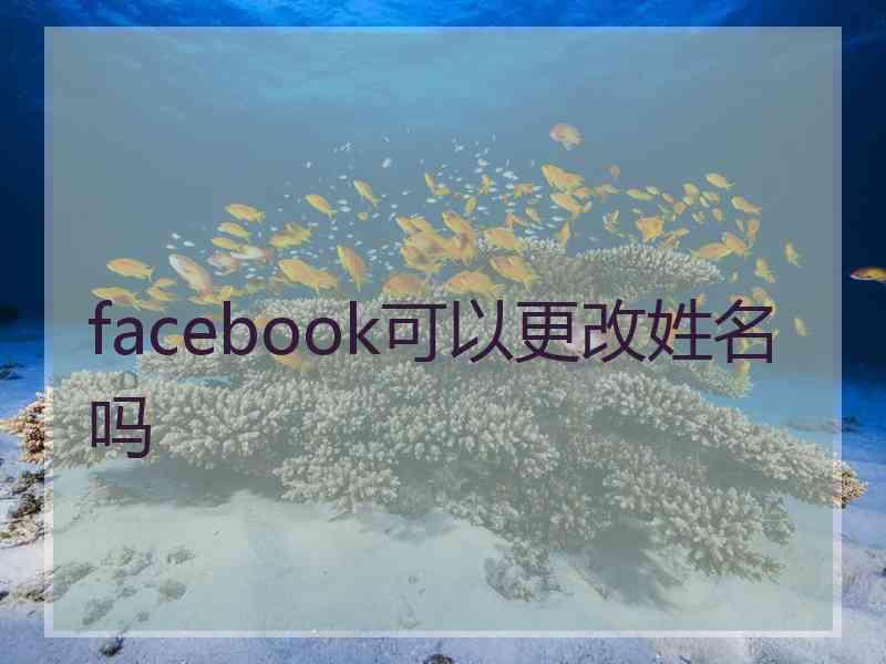 facebook可以更改姓名吗