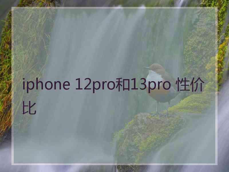 iphone 12pro和13pro 性价比